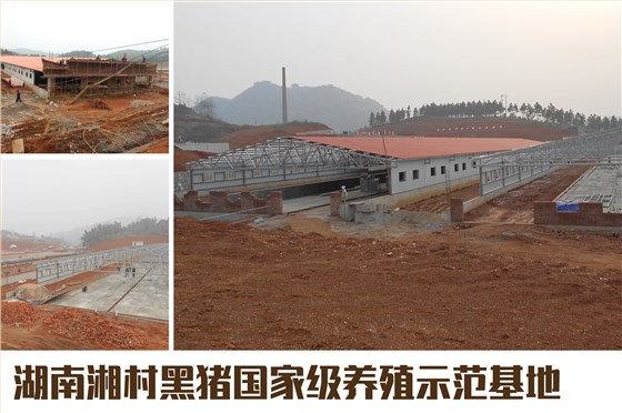 湖南养殖厂用瓦