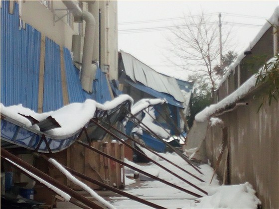 传树建材