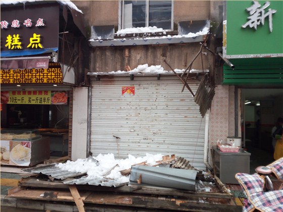 传树建材
